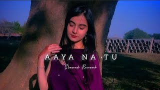 Aaya Na Tu | Slowed Reverb | Arjun Kanungo | Momina Mustehsan | Love lofi 🎶