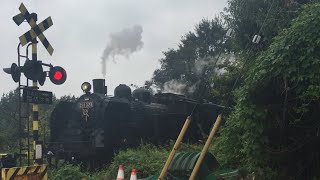 『C11325＋50系客車・快速 SLもおか[6001レ』2018/9/30(真岡鐵道・久下田駅～寺内駅｢二宮街道踏切｣) # 真岡鉄道