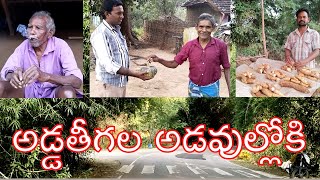 అడ్డతీగల అడవుల్లోకి | Rajahmundry to Addateegala | Travel Vlog | JK TV