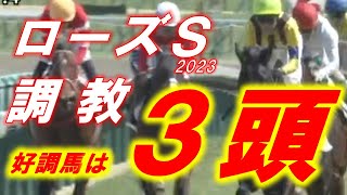 ローズS2023　追い切り診断　ソーダズリング、ラヴェル等　元馬術選手のコラム by アラシ