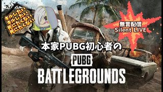 【PUBG】本家ガチ初心者がやってみる🔫とりあえずテスト【無言配信】