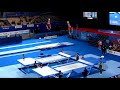 United States of America 2 (USA) M - 2019 Trampoline Worlds, Tokyo (JPN) - Qualification Synchro R1