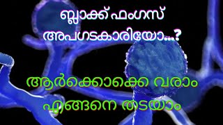 എന്താണ്  ബ്ലാക്ക് ഫംഗസ് | എങ്ങനെ പ്രതിരോധിക്കാം | what is black fungus