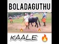 boladaguttu kaale