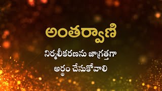 అంతర్వాణి  | నిర్మలీకరణను జాగ్రత్తగా అర్థం చేసుకోవాలి    | Heartfulness |  26-08-2022