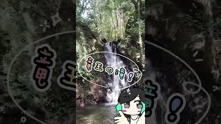 #福岡県 #直方市 #ショート #shorts #竜王の滝 【福岡県】シアの夏のおすすめスポット