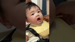 Baby gets nervous about his snap bib #Shorts #babyshorts