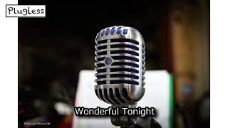 竹下アツシ Wonderful Tonight acoustic Ver TOKAI クロサワ楽器 [Plugless 441hz]