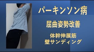 パーキンソン病のリハビリテーション-体幹屈曲・前傾姿勢改善のための脊柱伸展壁サンディング-