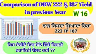 Which variety is best DBW 222 or 187 (222 ਜਾਂ 187 ਵਿੱਚੋਂ ਕਿਸਨੇ ਵੱਧ ਝਾੜ ਦਿੱਤਾ) Shergill Markhai