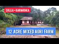 12 Acre Coconut Areca Rubber Mixed Agrifarm on River Side For Sale | Sullia | Karnataka