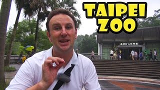 Taipei Zoo Travel Guide