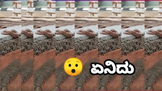 ನಾಗರಹಾವಿನ ಮರಿ 😲😲😲😲😲😲😲😲😲😲😲 #snake #youtubeshorts #shorts