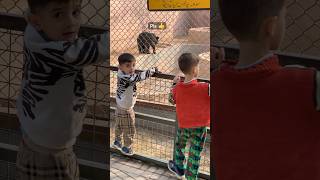 Baby’s Adorable Reaction to Seeing a Bear for the First Time! 🐻 🐻 #shorts #trending #viral