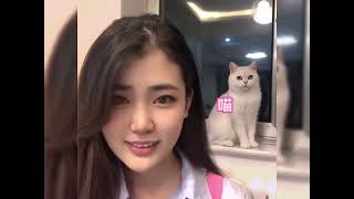 那些能听懂人话的猫咪，快送孩子去上学吧#猫咪 #猫咪的迷惑行为 #喵星人 #搞笑