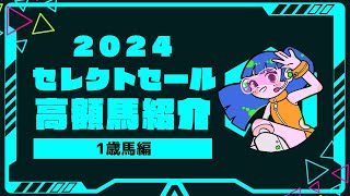 【セレクトセール2024】1歳馬で高額取引された馬をまとめてご紹介！