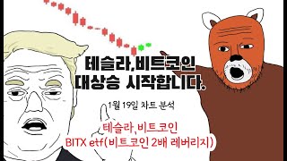 테슬라,비트코인 대상승 시작합니다(1/19 차트 분석)