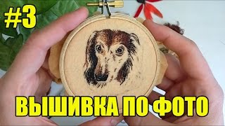 Вышивка портрета собаки по фото. Процесс. Блог о вышивке гладью