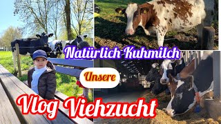 Die größte Viehzucht:bio Milch