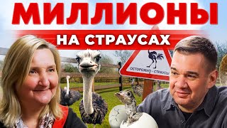 Заработок на страусиной ферме в России | Бизнес с нуля | Сколько приносит страус