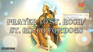 Prayer To St Roch For Dogs