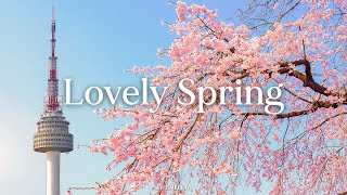 어느새 다가온 봄, 봄에 잘 어울리는 피아노 연주 💐 Lovely Spring