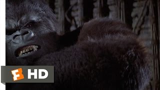 King Kong (6/9) Movie CLIP - Trapping the Beast (1976) HD