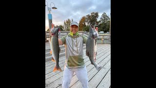 Salmon Dock Fishing at Richmond, BC Summer 2023 ​⁠