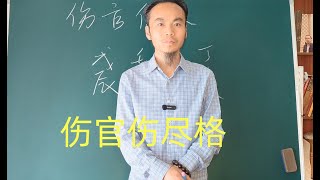 王炳程老师：纯干货，伤官伤尽格，朱元璋案例。王炳程老师最新四柱八字教学视频