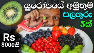 මීට කලින් මේ පලතුරු දැකලා තියෙනවාද ?  | Sinhala food review