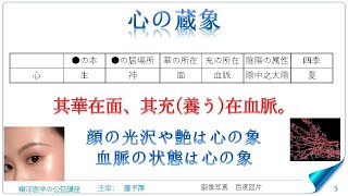 東洋医学公益講座　第220回黄帝内経‗六節蔵象論7