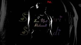 Sun Meri Shehzadi | Tik Tok Viral Song | Status love | Feel My Love