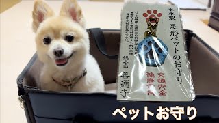 「総本山善通寺」からペットお守りを授かりました🐶