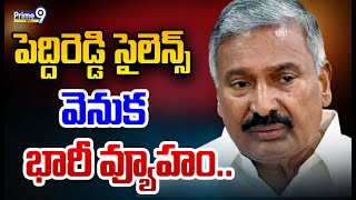 LIVE🔴: పెద్దిరెడ్డి సైలెన్స్ వెనుక భారీ వ్యూహం.. | Peddireddy Ramachandra Reddy | Prime9