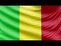 the meaning of the flag of mali