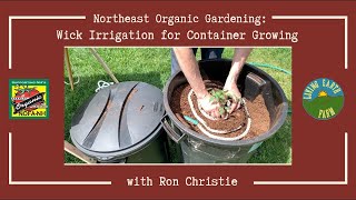 Wick Irrigation for Container Growing | Northeast Organic Gardening