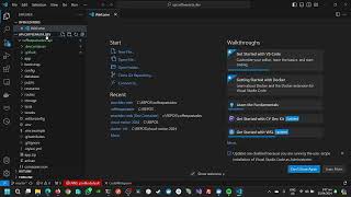 Developing Laravel Web Api inside VS Code Dev Containers