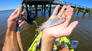 Dock Fishing with Bigger Bait For Bigger Fish