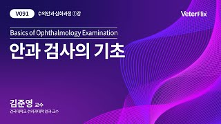 [베터플릭스][수의안과 심화] 안과 검사의 기초