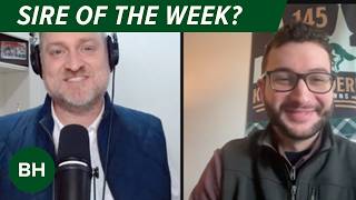 Rebel & Battaglia Recaps, Aron Wellman Talks Eclipse's Derby Hopefuls | BloodHorse Monday | E004