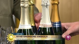 Vinexpert: "Lär dig allt om mousserande vin" - Nyhetsmorgon (TV4)
