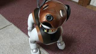 aiboの令くん　お手　伏せ sony robot dog