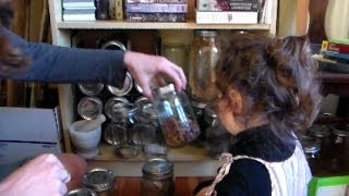 Foraging Edible Plants - Apothecary Medicine for Flu | Wild Food Episode 1