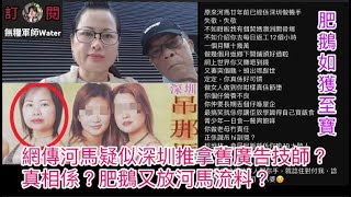 河馬疑似深圳骨妺舊廣告技師？真相係？肥鵝又用河馬P圖作故仔？｜直播精華8/2/25  #何伯 #何太 #河馬 #東張西望