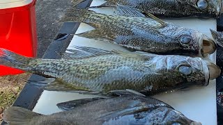 Okeechobee Crappie after Helene & Milton