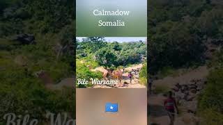 The Calmadow Mountains of Somalia 🇸🇴🌳⛰️