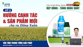 APN - HƯỚNG CANH TÁC & SẢN PHẨM MỚI CHO VỤ ĐÔNG XUÂN | QUY TRÌNH  CANH TÁC LÚA ĐÔNG XUÂN 2025 | KỲ 2