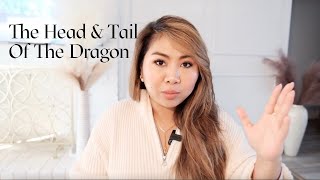 The Head \u0026 Tail Of The Dragon🐉