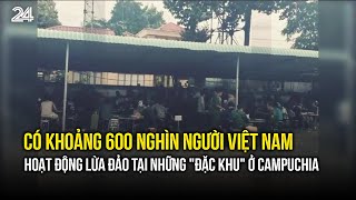 Có khoảng 600 nghìn người Việt Nam hoạt động lừa đảo tại những \