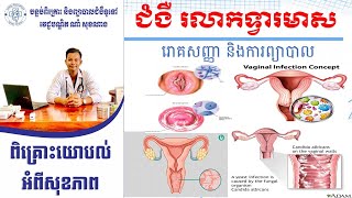 ជំងឺរលាកទ្វារមាស Vaginitis Dr. Nam Soknang